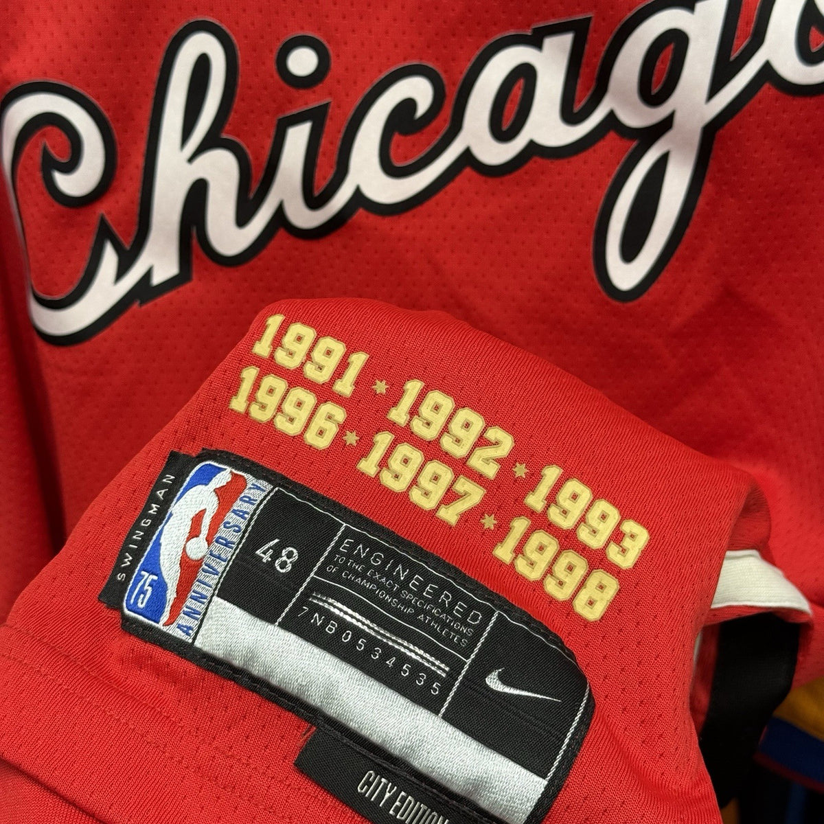 Nike ICON NBA Chicago Bulls City Edition Zach Lavine Jersey Large Adults