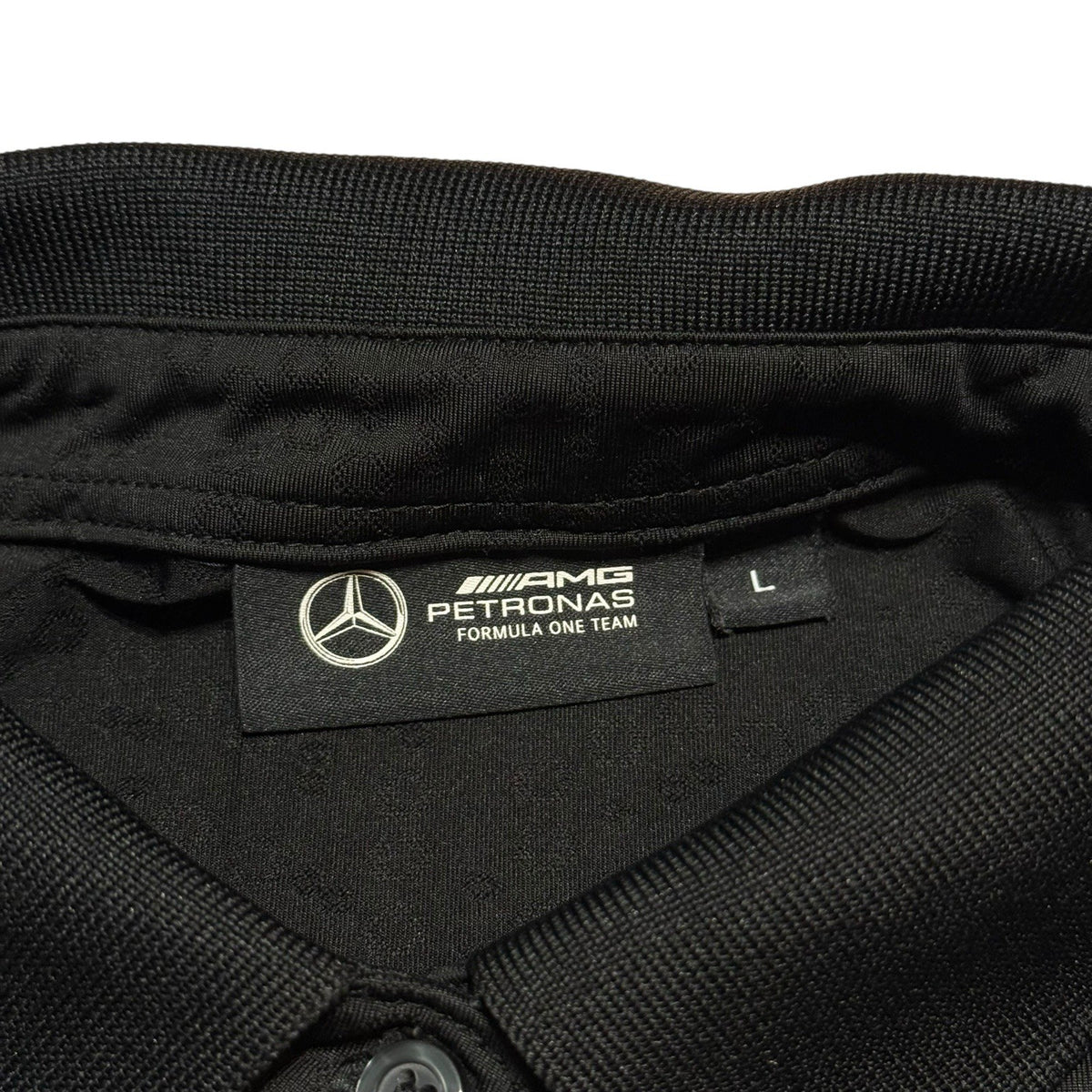 MERCEDES AMG PETRONAS F1 TOMMY HILFIGER Men L 2024 Polo Shirt VGC Team Issue